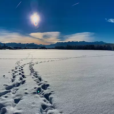 Panorama shot of a snowy landscape with a clear blue sky