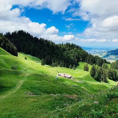 une ferme typique de Gruyère dans un pâturage