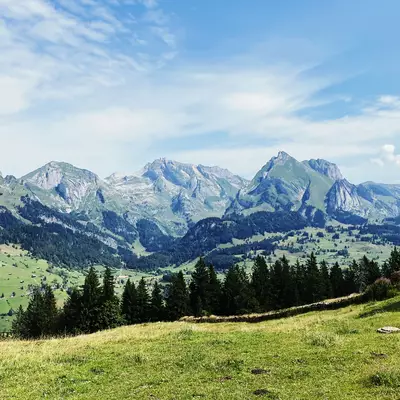 View of the Säntis from Selematt. In the foreground, a pasture then a forest. Beyond the valley, the Säntis massif can be seen.