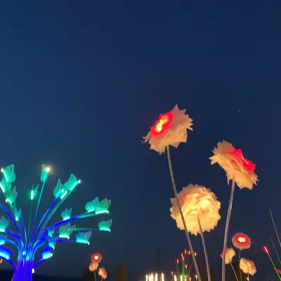les décorations du paléo prise en photo dans la nuit. La perspective donne l'impression d'être une fourmi. Les décorations font 5m de haut environ. En bas à gauche, un montage représentant un bouquet de papillon qui bleu clair. À droite une décoration en faisant penser à des pissenlits éclairés en rouge et blanc.