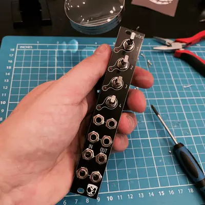 The mute module in my hands. It's a four channels mutes module.