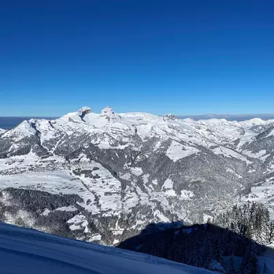 View towards Leysin from the Petit Chamossaire